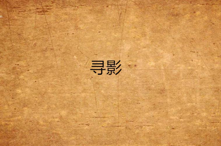 显示器背光灯亮但不出图像