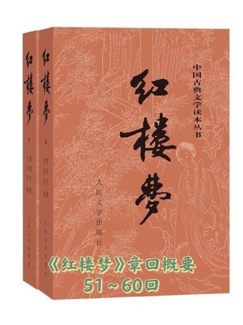 红楼梦每回简介50字