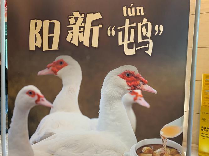 为什么鹅比鸭子贵