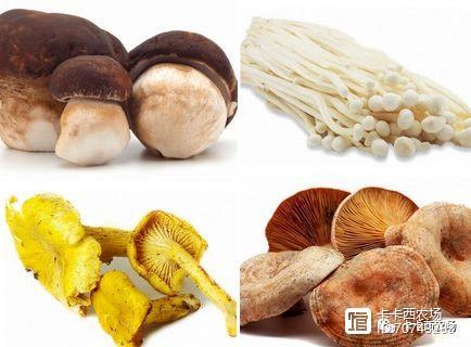 蘑菇商人怎么入驻?缩略图