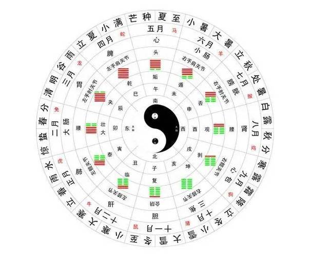 极阴命最厉害三个时辰截图