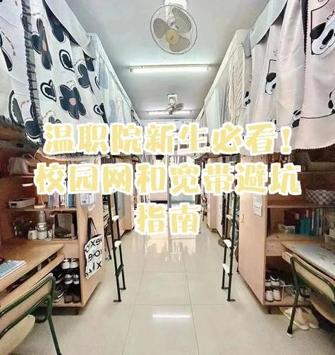 宿舍宽带多少兆合适图标