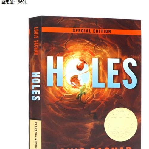 小说holes
