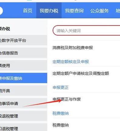 纳税申报错误如何更正