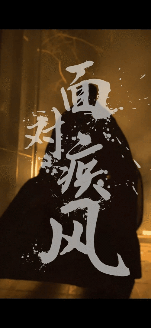 面对疾风吧我们去流浪