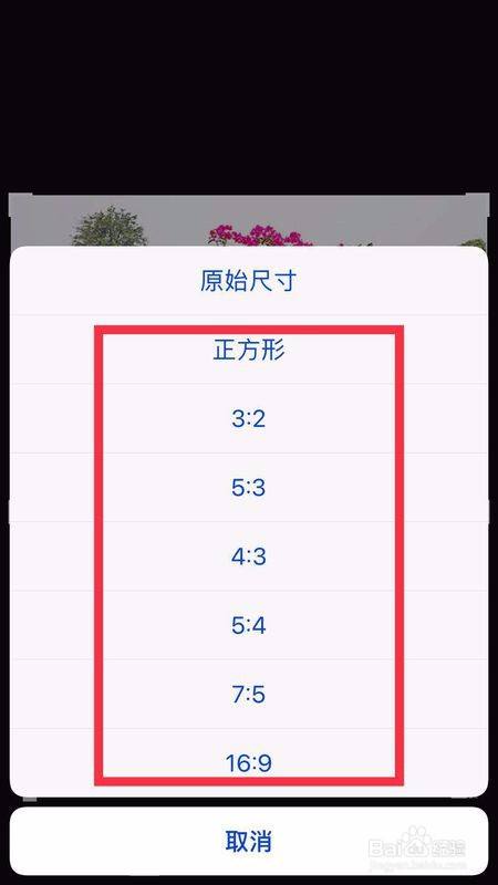 手机照片16:9怎么设置