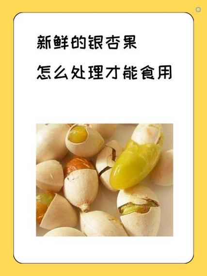 新鲜白果要怎么处理才能够吃