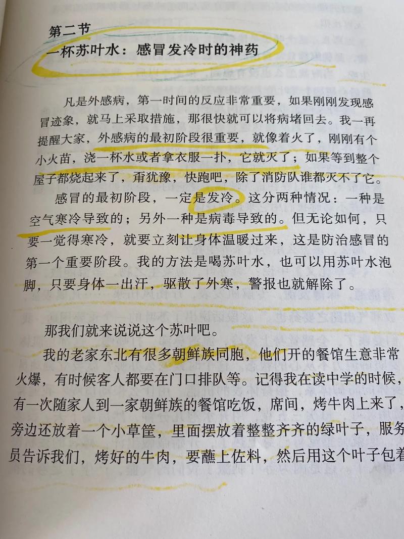 叶紫苏家三兄弟的小说笔趣阁