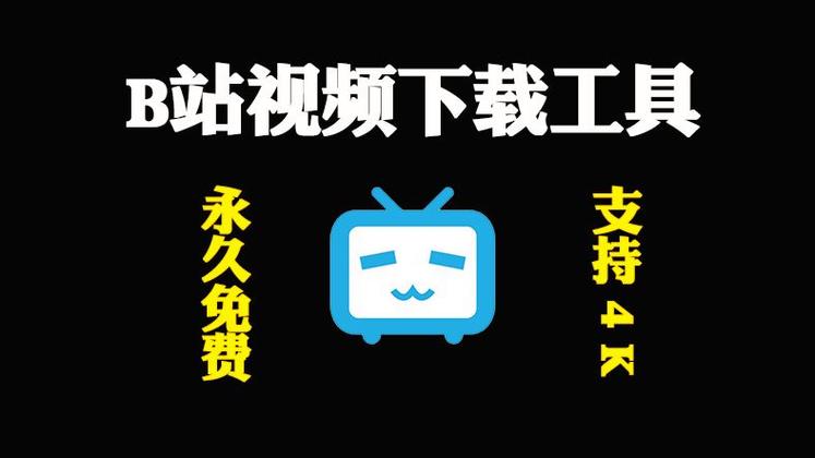 b站缓存的视频怎么传到电脑