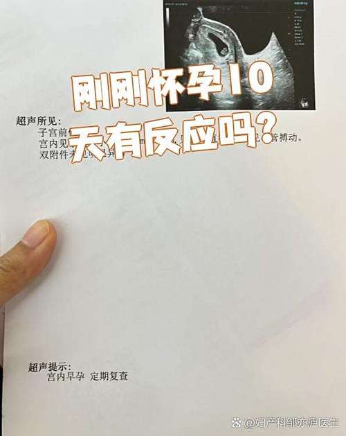 怀孕10几天能打掉吗