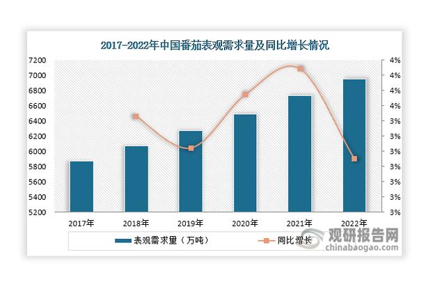 番茄排名第一名
