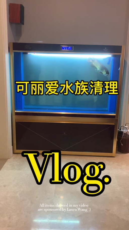 鱼缸的灯自动亮起怎么取消