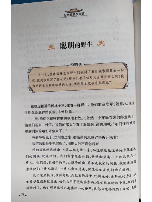 野牛的故事读后感