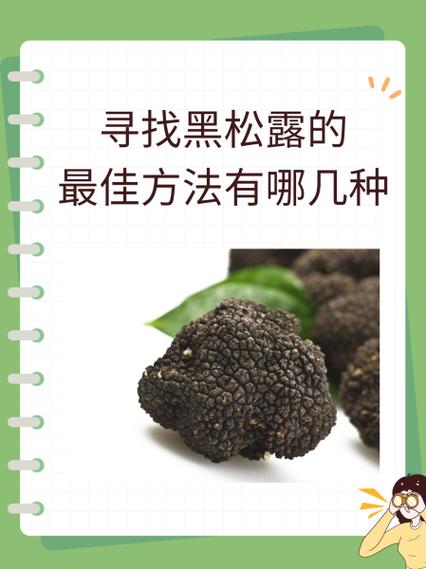 黑松露的功效与作用缩略图