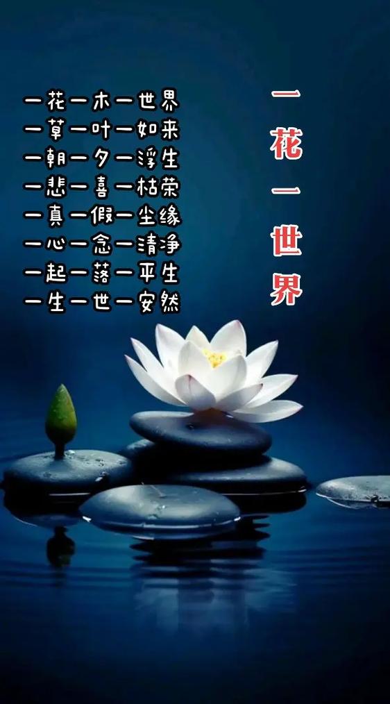 一人一心一境界一思一念一尘缘截图