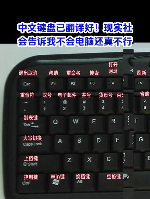 中英互译翻译的输入法
