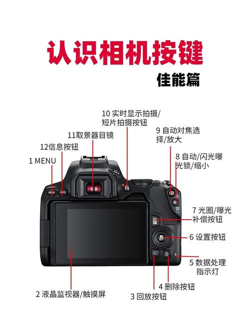 佳能数码相机型号大全截图