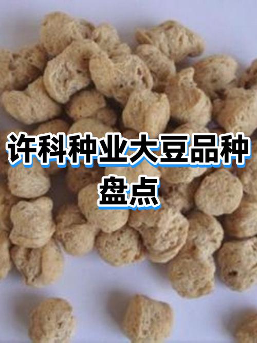 运豆101大豆品种