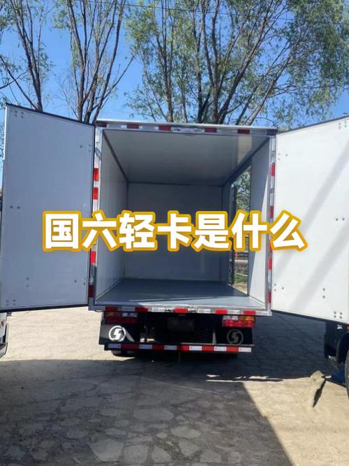 国六轻卡限速应急怎么解除游戏截图