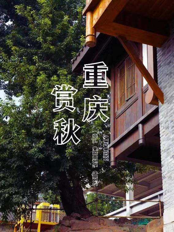 重庆市区有哪些景点值得去