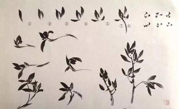 兰花手教学