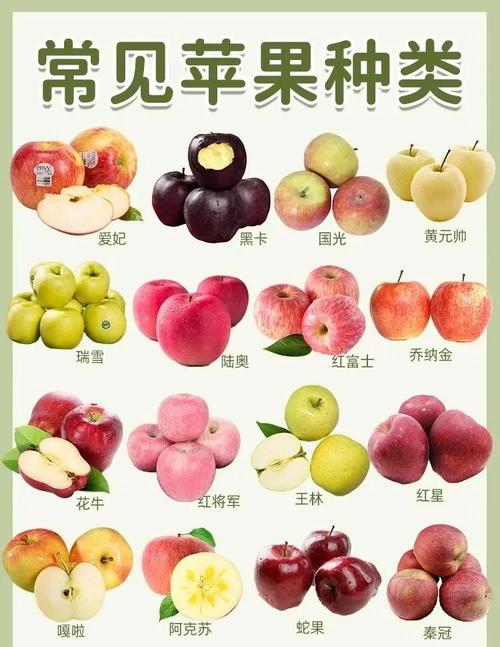 祝光苹果品种介绍
