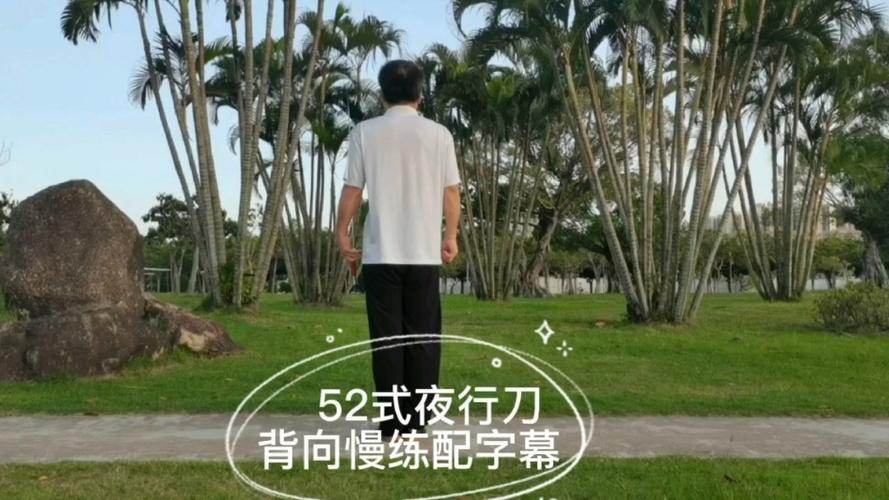 36刀背向演练带口令截图