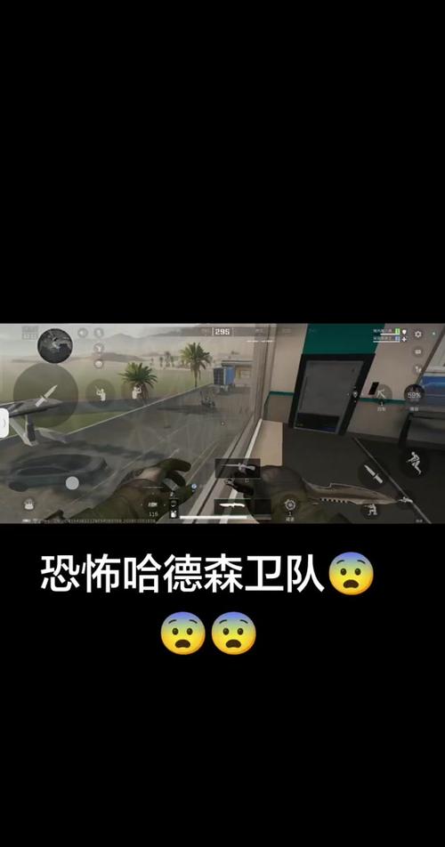 哈德森护卫队语音