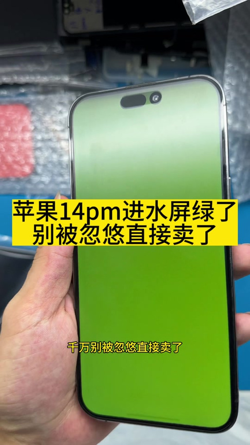 苹果手机拍视频有个绿色的点