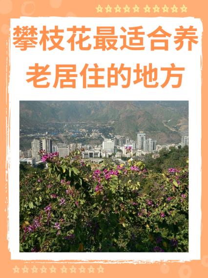攀枝花定居优缺点