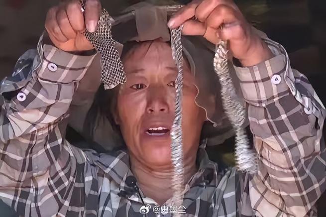 把一条小蛇养大,却钻进我的被窝是什