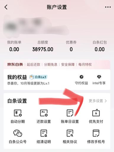 京东白条账单明细怎么删除
