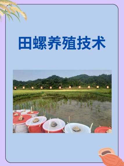 螺蛳养殖方法