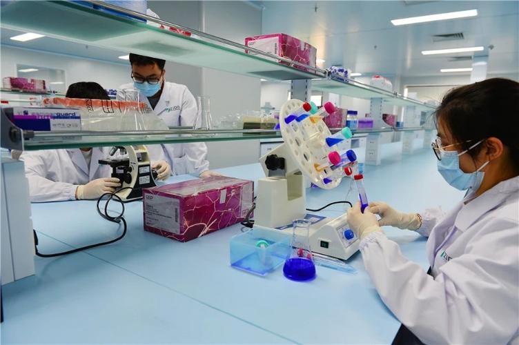 药物研究员都做些什么