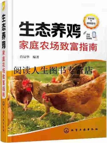 一年养多少鸡挣20万