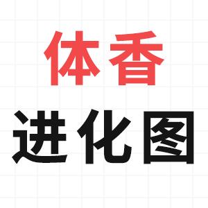体香有哪些味道