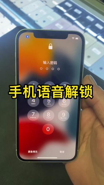 ipad有语音输不了密码