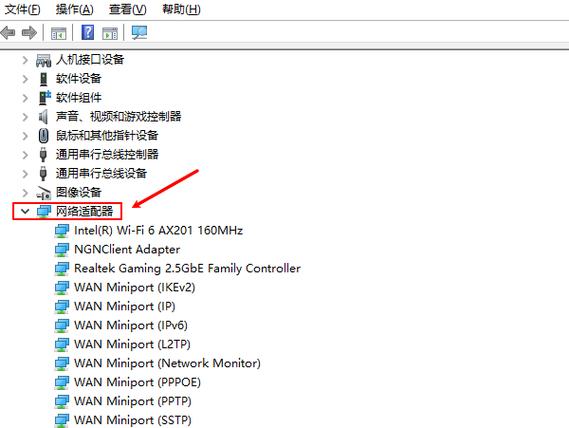 设备管理器没有realtek网卡游戏截图