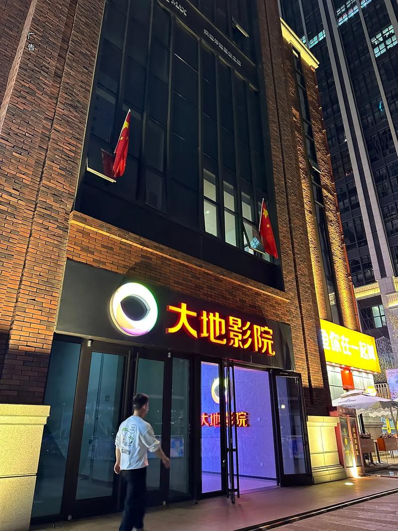 大地影院视频免费观看