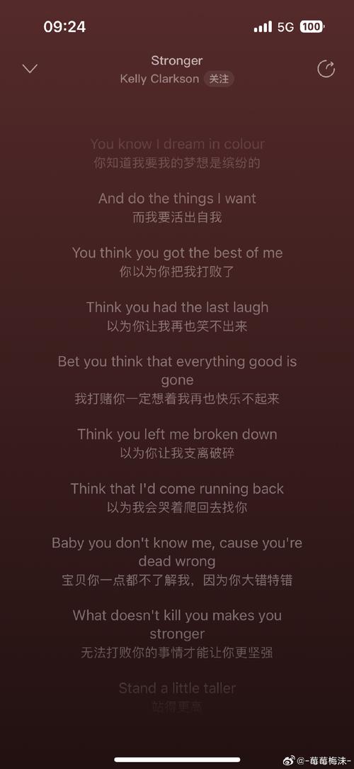 stronger的隐喻含义截图