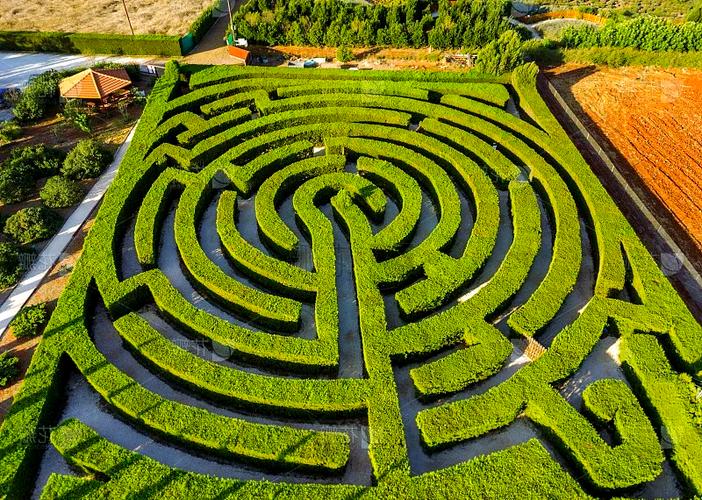 植物大战僵尸2老版本迷宫地图