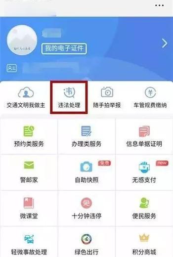 拍车辆违章奖励app