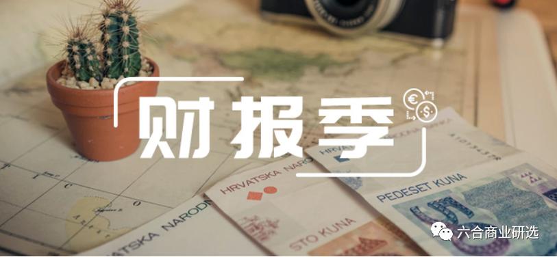 财报数据截图