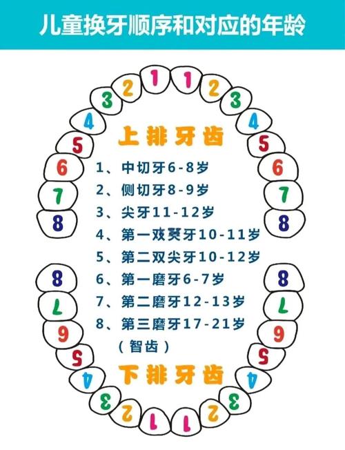 旧牙没掉新牙长出来了,需要拔掉吗缩略图