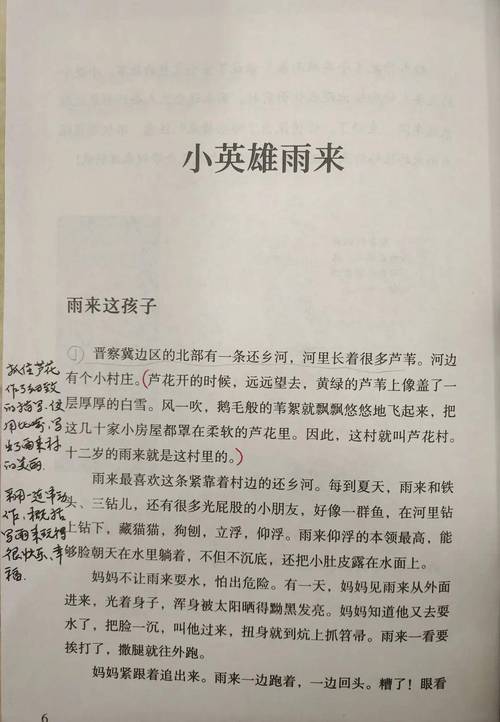 《小英雄雨来》电子版截图