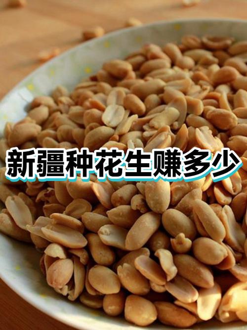 花生转赚钱app截图