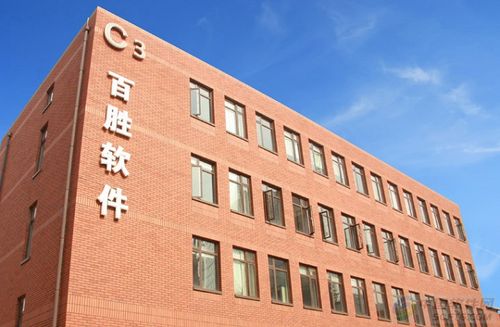 上海百胜软件股份有限公司怎么样图标
