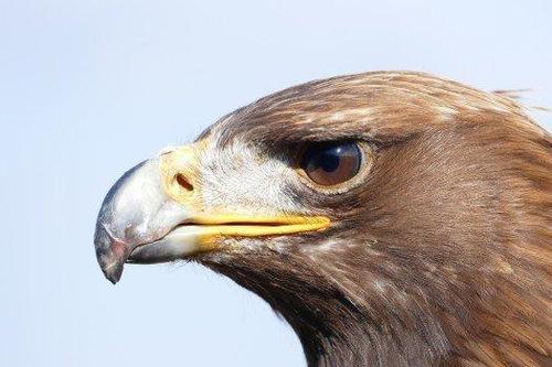 soul里违反规定不能聊天什么意思缩略图
