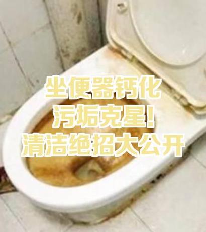 如何去除马桶里的陈年顽固污垢截图