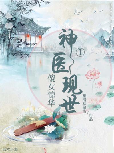 叶枫神医哪部小说